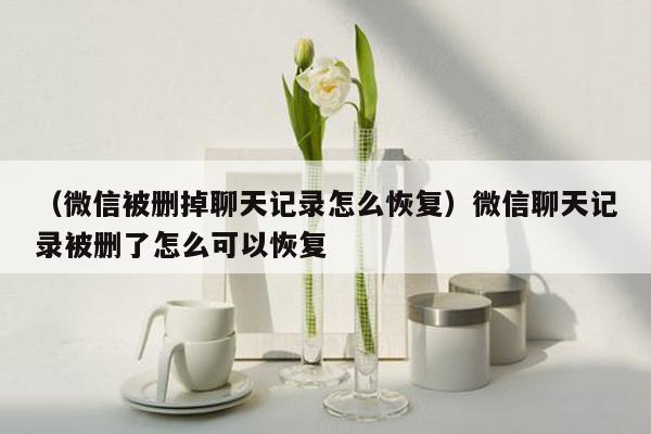 （微信被删掉聊天记录怎么恢复）微信聊天记录被删了怎么可以恢复