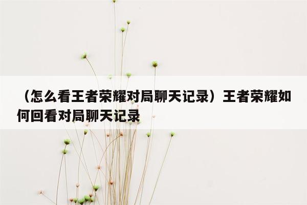 （怎么看王者荣耀对局聊天记录）王者荣耀如何回看对局聊天记录