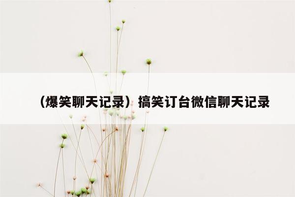 （爆笑聊天记录）搞笑订台微信聊天记录