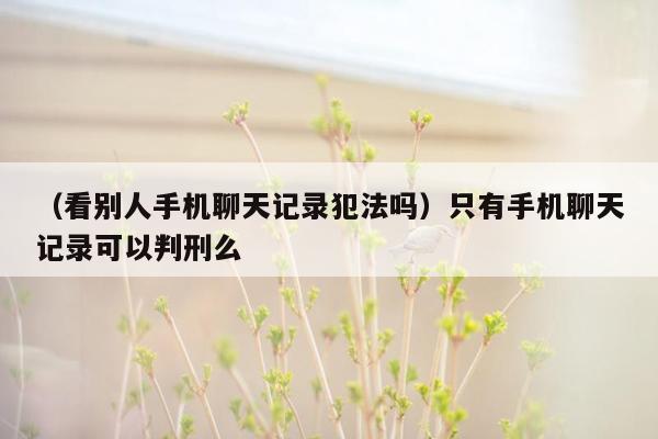 （看别人手机聊天记录犯法吗）只有手机聊天记录可以判刑么