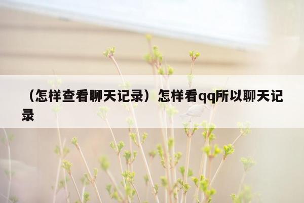 （怎样查看聊天记录）怎样看qq所以聊天记录