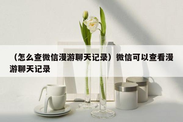 （怎么查微信漫游聊天记录）微信可以查看漫游聊天记录