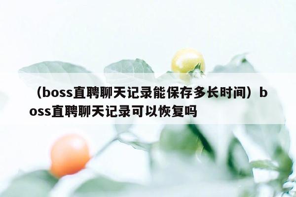 （boss直聘聊天记录能保存多长时间）boss直聘聊天记录可以恢复吗