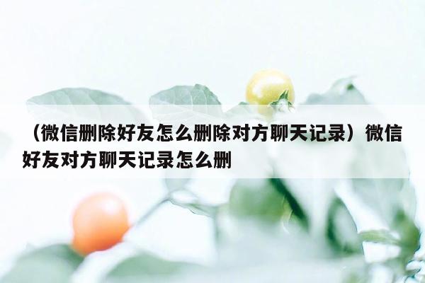 （微信删除好友怎么删除对方聊天记录）微信好友对方聊天记录怎么删