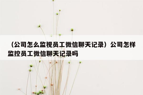 （公司怎么监视员工微信聊天记录）公司怎样监控员工微信聊天记录吗