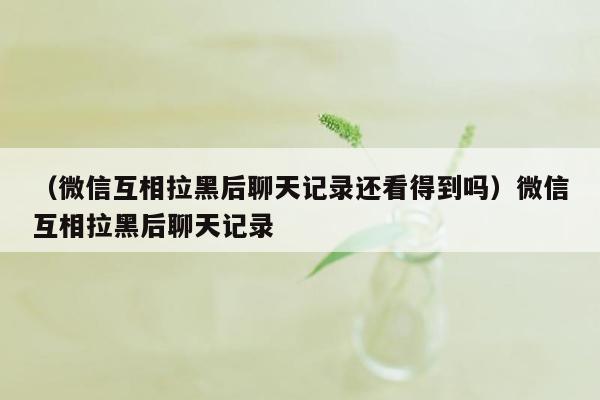 （微信互相拉黑后聊天记录还看得到吗）微信互相拉黑后聊天记录