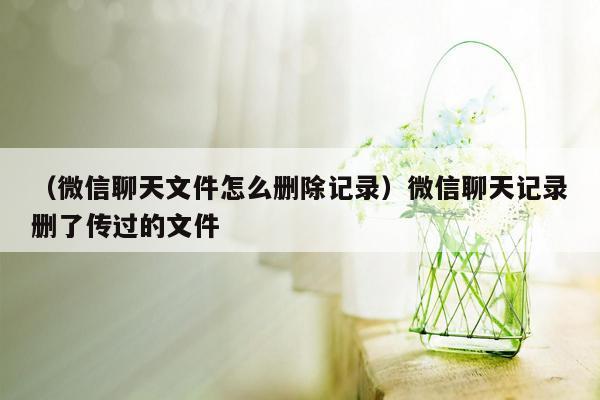 （微信聊天文件怎么删除记录）微信聊天记录删了传过的文件