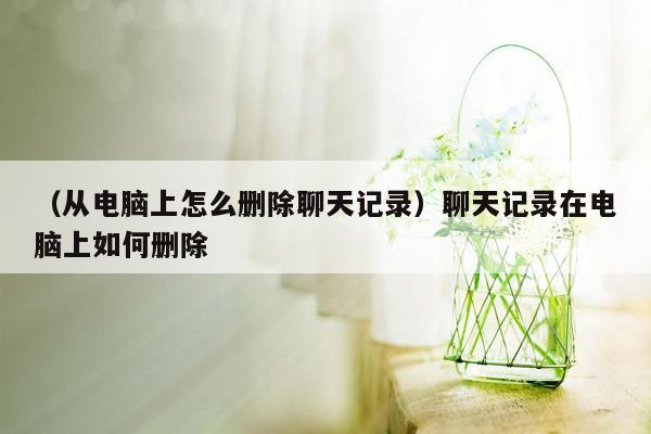 （从电脑上怎么删除聊天记录）聊天记录在电脑上如何删除