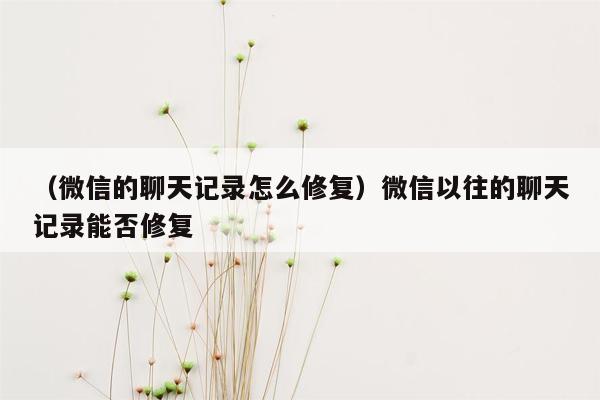 （微信的聊天记录怎么修复）微信以往的聊天记录能否修复