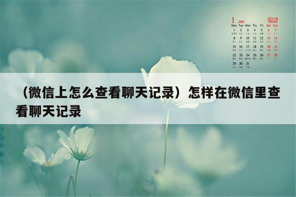 （微信上怎么查看聊天记录）怎样在微信里查看聊天记录