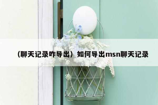 （聊天记录咋导出）如何导出msn聊天记录