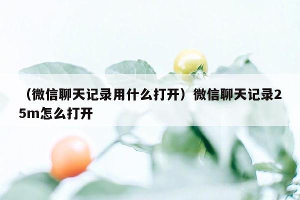 （微信聊天记录用什么打开）微信聊天记录25m怎么打开