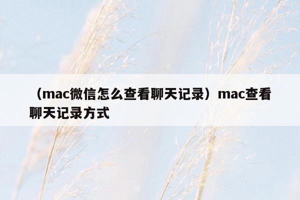 （mac微信怎么查看聊天记录）mac查看聊天记录方式