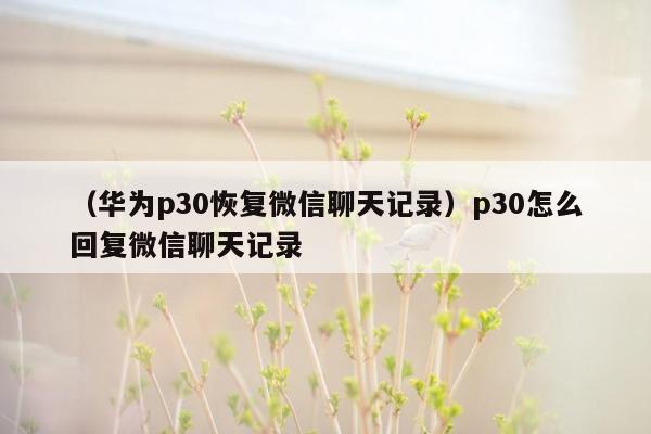 （华为p30恢复微信聊天记录）p30怎么回复微信聊天记录