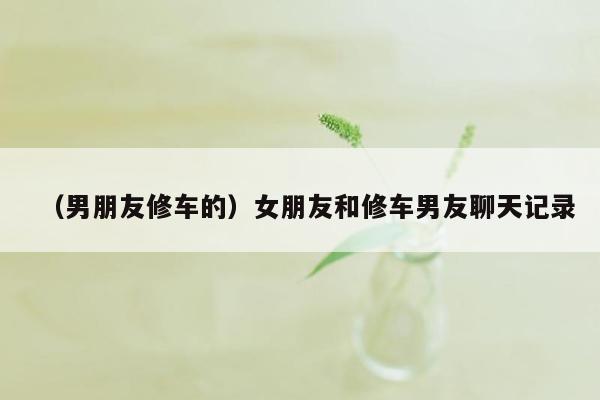 （男朋友修车的）女朋友和修车男友聊天记录