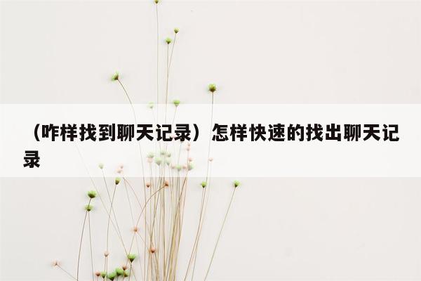 （咋样找到聊天记录）怎样快速的找出聊天记录