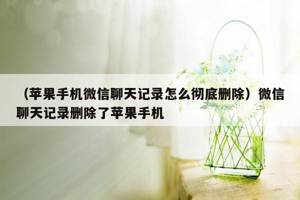 （苹果手机微信聊天记录怎么彻底删除）微信聊天记录删除了苹果手机