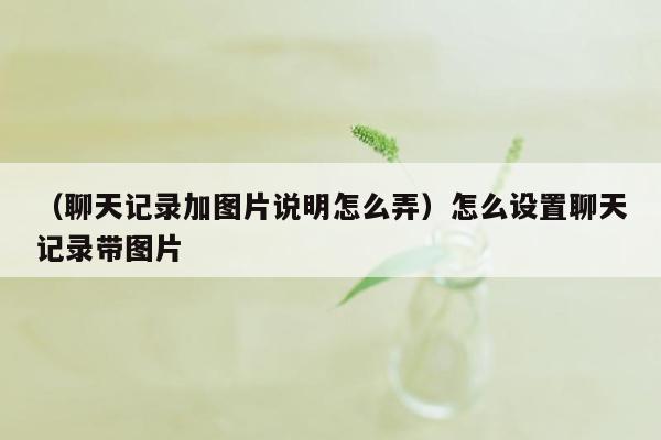 （聊天记录加图片说明怎么弄）怎么设置聊天记录带图片