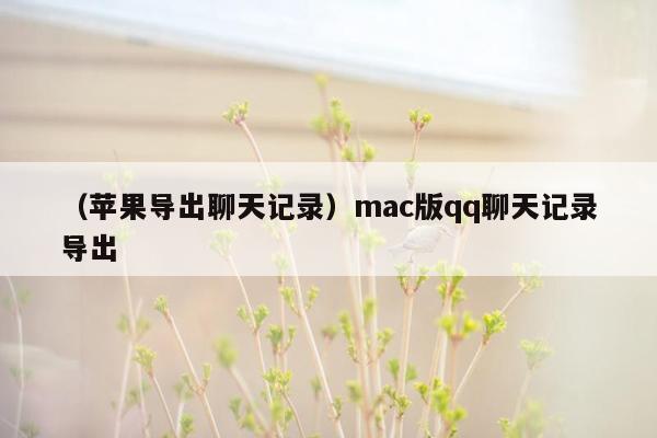 （苹果导出聊天记录）mac版qq聊天记录导出