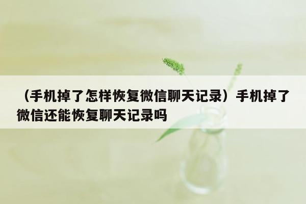 （手机掉了怎样恢复微信聊天记录）手机掉了微信还能恢复聊天记录吗