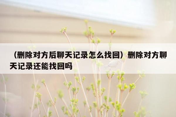 （删除对方后聊天记录怎么找回）删除对方聊天记录还能找回吗