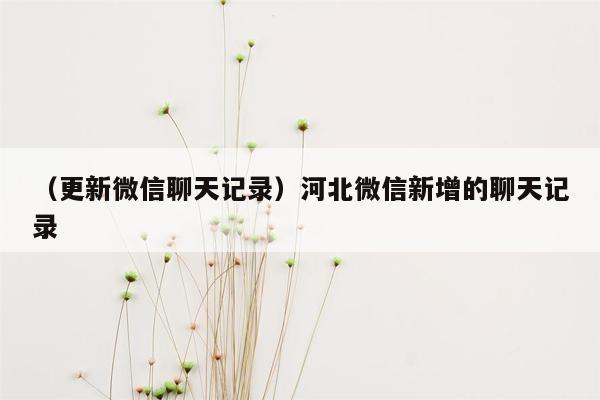 （更新微信聊天记录）河北微信新增的聊天记录