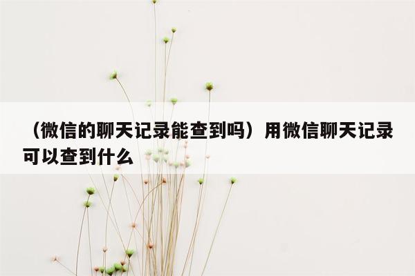 （微信的聊天记录能查到吗）用微信聊天记录可以查到什么