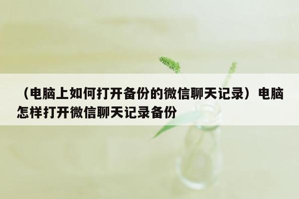 （电脑上如何打开备份的微信聊天记录）电脑怎样打开微信聊天记录备份