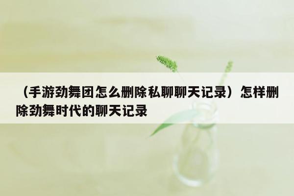 （手游劲舞团怎么删除私聊聊天记录）怎样删除劲舞时代的聊天记录