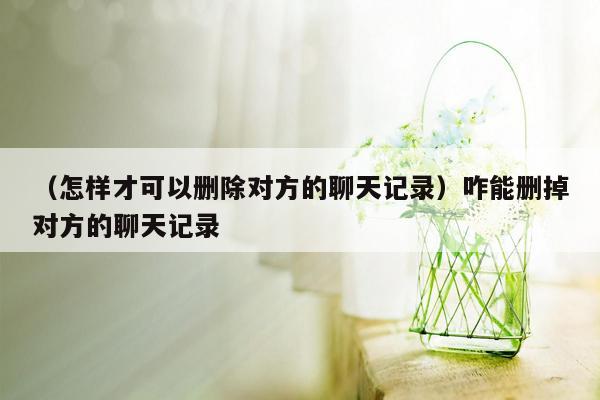 （怎样才可以删除对方的聊天记录）咋能删掉对方的聊天记录