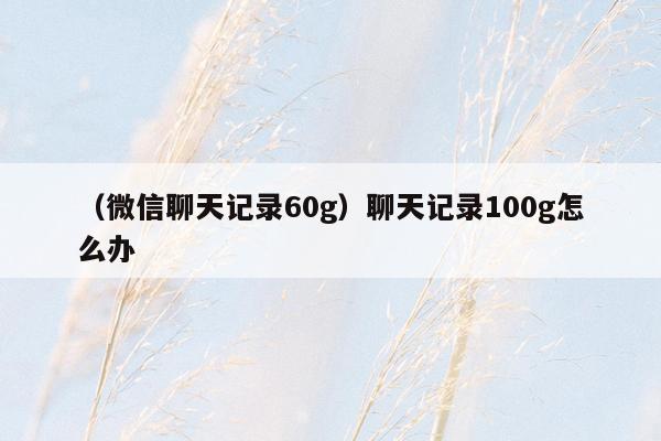 （微信聊天记录60g）聊天记录100g怎么办