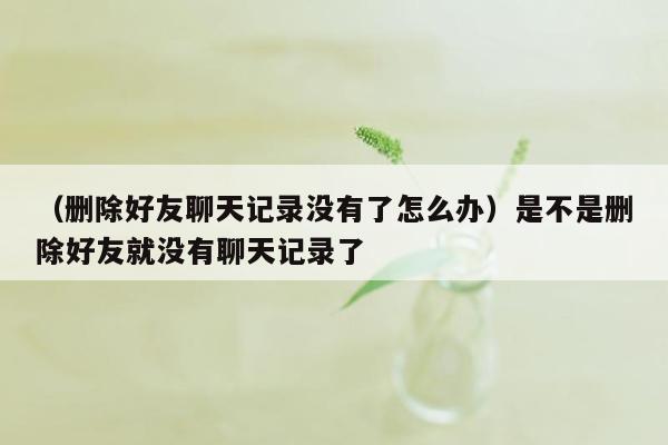 （删除好友聊天记录没有了怎么办）是不是删除好友就没有聊天记录了