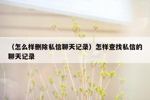 （怎么样删除私信聊天记录）怎样查找私信的聊天记录