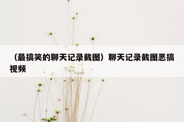 （最搞笑的聊天记录截图）聊天记录截图恶搞视频