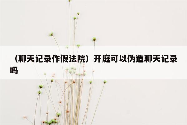 （聊天记录作假法院）开庭可以伪造聊天记录吗