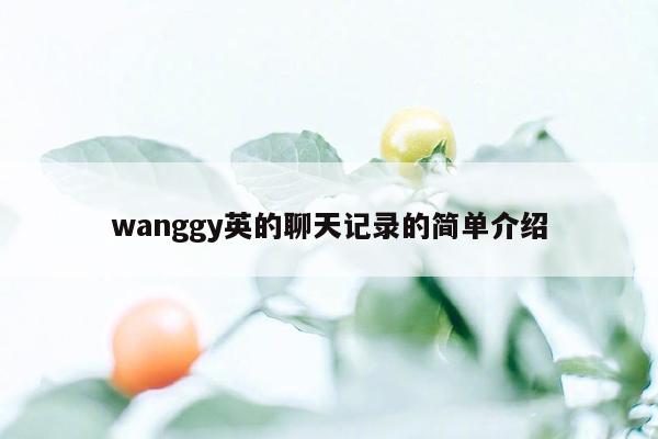 wanggy英的聊天记录的简单介绍