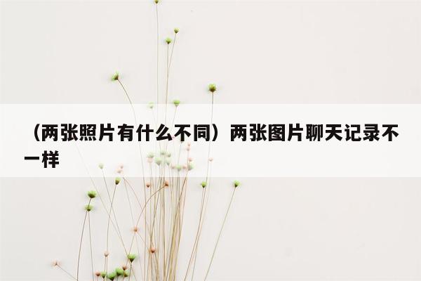 （两张照片有什么不同）两张图片聊天记录不一样