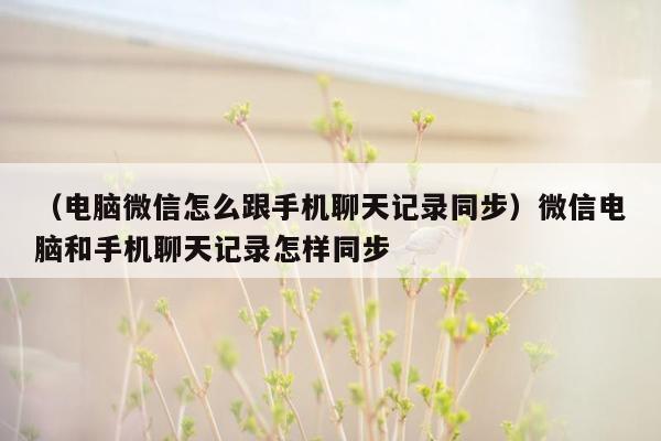 （电脑微信怎么跟手机聊天记录同步）微信电脑和手机聊天记录怎样同步