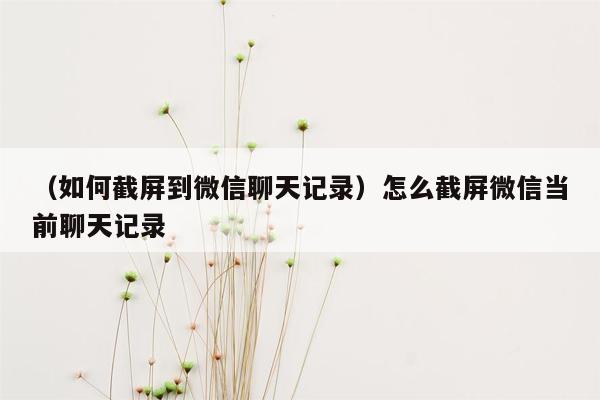 （如何截屏到微信聊天记录）怎么截屏微信当前聊天记录