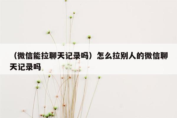 （微信能拉聊天记录吗）怎么拉别人的微信聊天记录吗