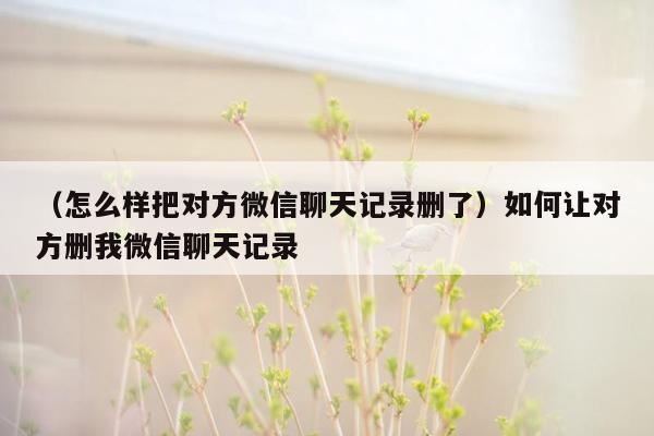 （怎么样把对方微信聊天记录删了）如何让对方删我微信聊天记录