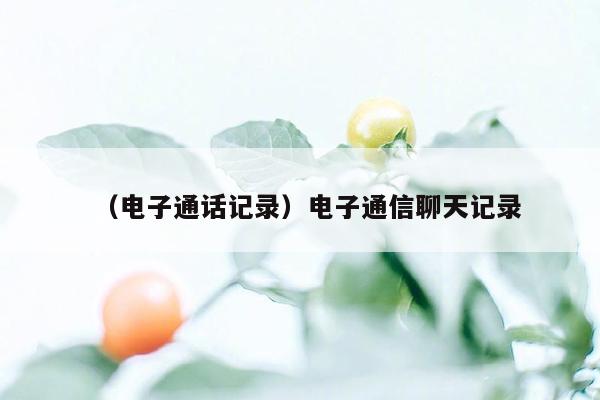 （电子通话记录）电子通信聊天记录