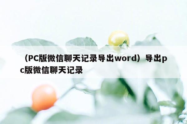 （PC版微信聊天记录导出word）导出pc版微信聊天记录