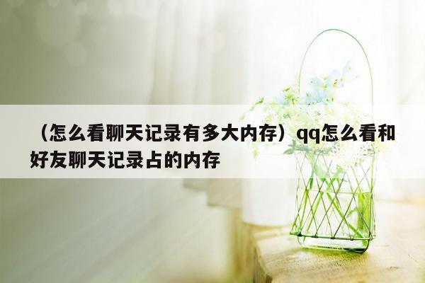 （怎么看聊天记录有多大内存）qq怎么看和好友聊天记录占的内存