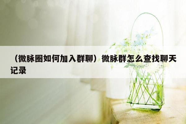 （微脉圈如何加入群聊）微脉群怎么查找聊天记录