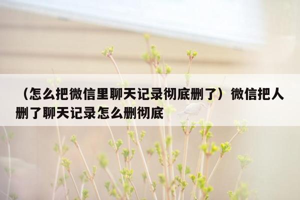 （怎么把微信里聊天记录彻底删了）微信把人删了聊天记录怎么删彻底