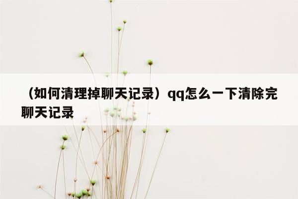 （如何清理掉聊天记录）qq怎么一下清除完聊天记录