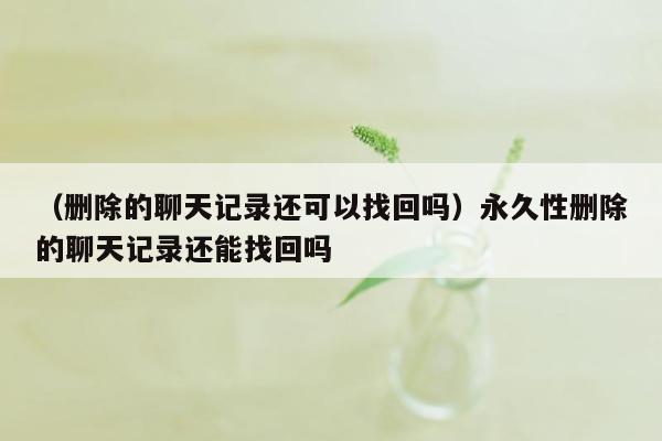 （删除的聊天记录还可以找回吗）永久性删除的聊天记录还能找回吗