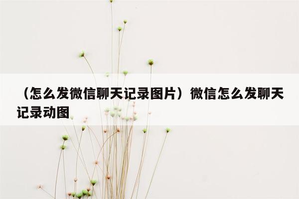 （怎么发微信聊天记录图片）微信怎么发聊天记录动图