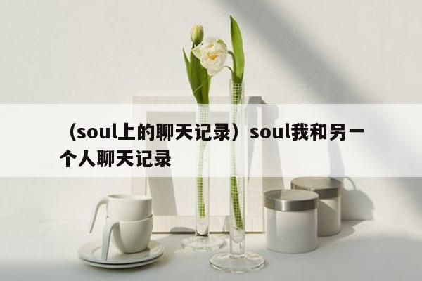 （soul上的聊天记录）soul我和另一个人聊天记录